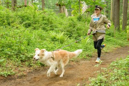 愛犬と走る！茨城アスレチックドギーズ - カニクロス & バイクジョアリング