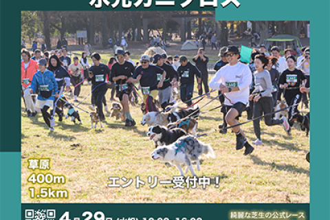 愛犬と走る！水元カニクロス