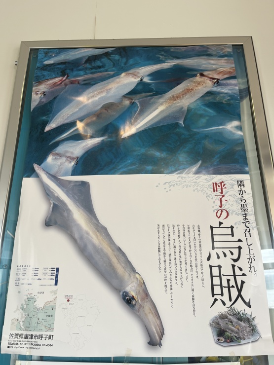呼子のイカを堪能