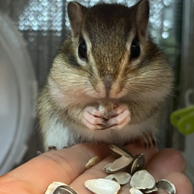 ガイドランナーさん