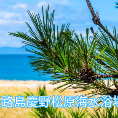 第４回 淡路島アクアスロン大会