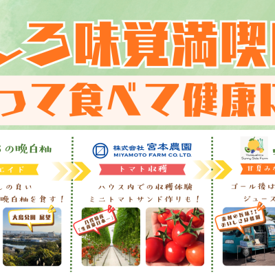 やつしろ味覚満喫RUN　～走って食べて健康に！～