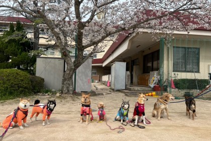 第一回正木山トレイルワン