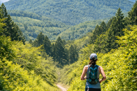 プレイベント　TOYOTA猿投山トレイルラン