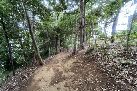 第1回 国分府台グリーンロード40