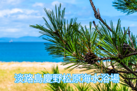 第４回 淡路島アクアスロン大会