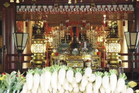 春の浅草マラニック