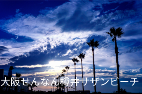 第１３回 大阪せんなんアクアスロン大会