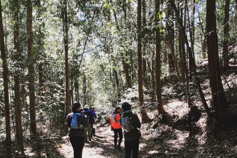 ルートナビゲーションゲーム in 犬山MOMOTAROトレイルランニングレース