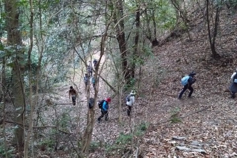 アルプス内の様子