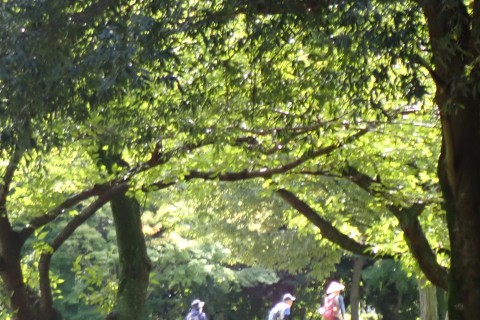 藤沢市文化財ハイキングコース ６回（藤澤宿と西俣野の遺跡）