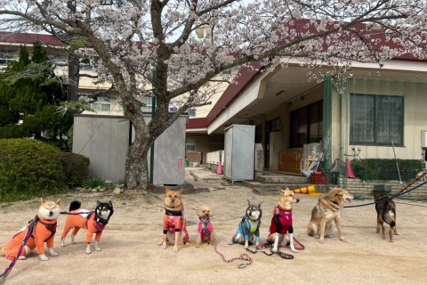 第一回正木山トレイルワン