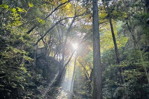 ◆2月26日(木)きさいち【平日トレラン・木曜 151st】