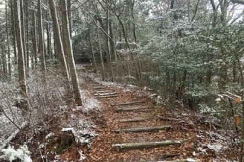 450年前に遡る！安土城&東近江トレイル