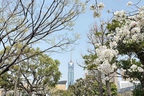 ふくおか桜ウォーク2026