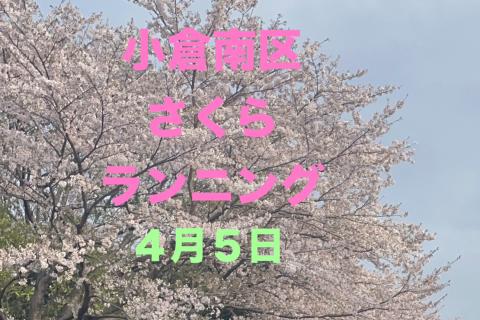 小倉南さくらランニング