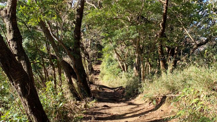 【トレランデビュー】いつもの靴で山と海の鎌倉お散歩トレイル（レクチャー付き）