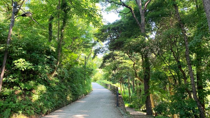 【トレランデビュー】いつもの靴で山と海の鎌倉お散歩トレイル（レクチャー付き）