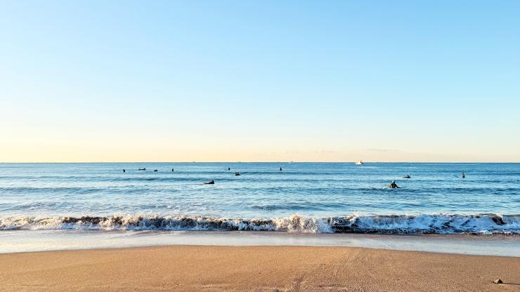 【トレランデビュー】いつもの靴で山と海の鎌倉お散歩トレイル（レクチャー付き）
