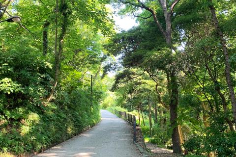 【トレランデビュー】いつもの靴で山と海の鎌倉お散歩トレイル（レクチャー付き）