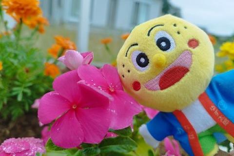 楢葉町和菓子らん11K