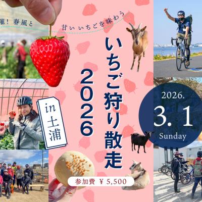 今年も開催！春⾵と⽢いいちごを味わう「いちご狩り散⾛2026 in⼟浦」