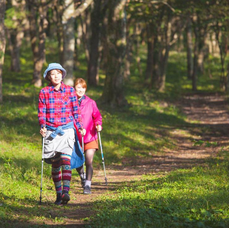 ノルディックウォーキング