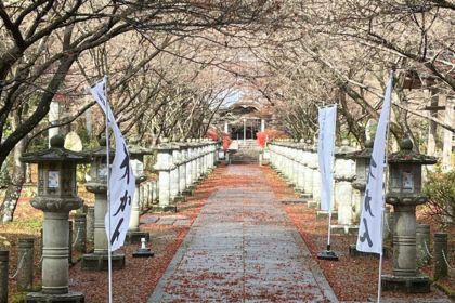 境内を走ります。