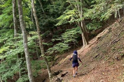 塩原スパトレイル30K