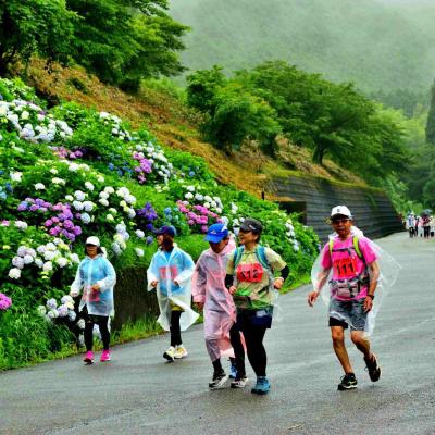 第４回　奥播磨 あじさいと棚田めぐりロゲイニング　in　ヨーデルの森
