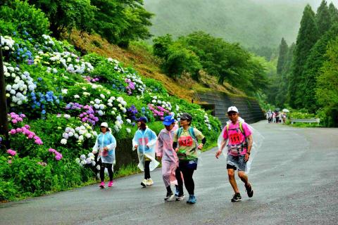 第４回　奥播磨 あじさいと棚田めぐりロゲイニング　in　ヨーデルの森