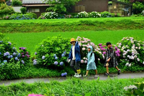 第４回　奥播磨 あじさいと棚田めぐりロゲイニング　in　ヨーデルの森