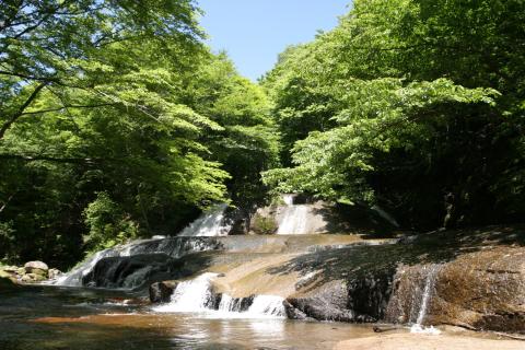 源流の里　第1回にしごうRUNフェス2026