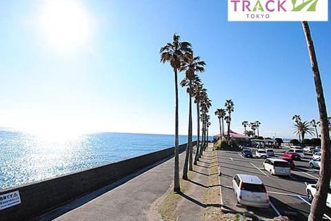 三浦半島横断マラニック