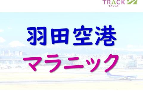 羽田空港マラニック