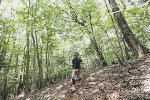 【愛知県豊田市】DANDO  ROUND TRIP40　トレイルランニングレース