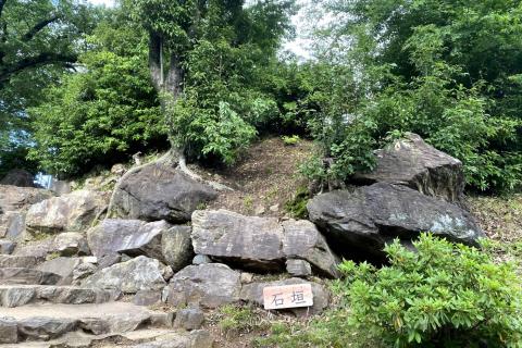 走って小旅行！お城マラニック３０ｋｍ　～名古屋から犬山へ～