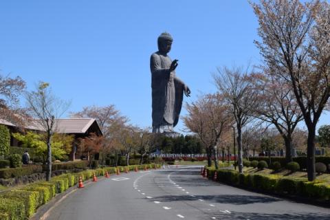 世界一の大仏様を見に行こう！「牛久大仏アドベンチャーライド」