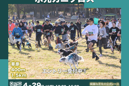 愛犬と走る！水元カニクロス