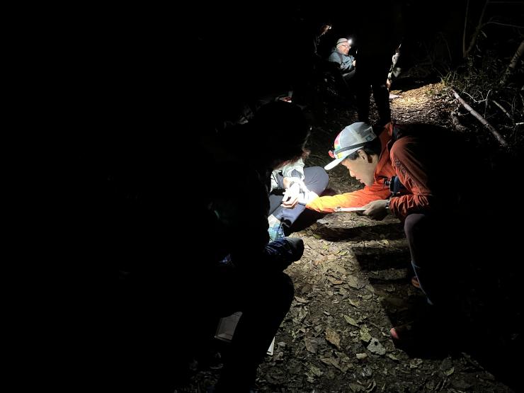 前回実施写真　夜フィールド講習の様子