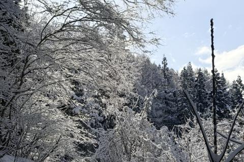 第1回渋峠横手山ぐるっとスキーRACE