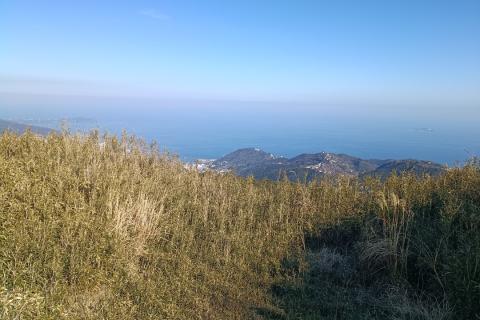湯河原熱海ー坂と絶景の旅