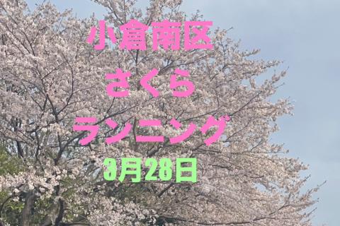 小倉南さくらランニング