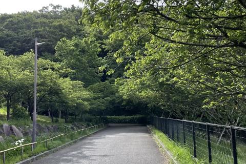 【ラチエンAC休日】大磯坂道練習会　ドリル＋坂道インターバル走