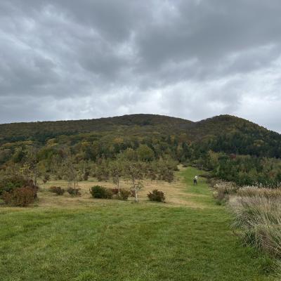くずまき塩の道トレイル・リレーマラソン