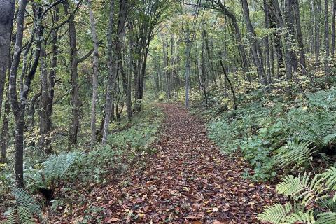 くずまき塩の道トレイル（リレーの部）