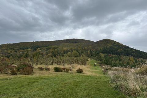 くずまき塩の道トレイル・リレーマラソン