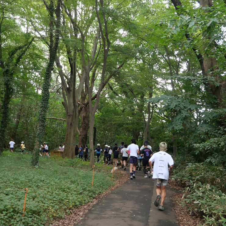 公園内をウォーキング