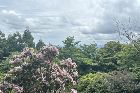 REDコーチの「トレラン初心者コース＠関八州見晴台」ゆるトレイル 4月