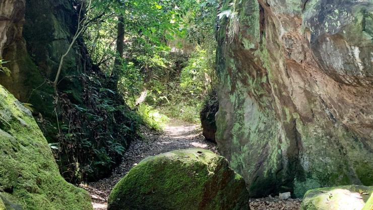 【鎌倉周遊】古都の山と海をめぐる絶景ラウンドトレイル